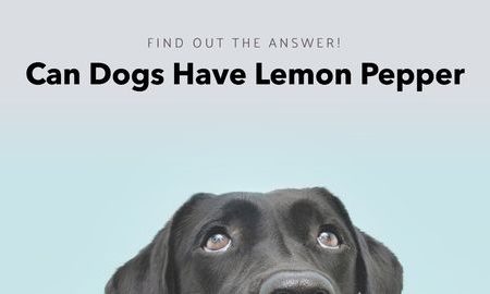 can dogs have lemon pepper