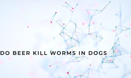 do beer kill worms in dogs