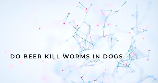 do beer kill worms in dogs